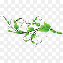 手绘绿叶上的水滴装饰