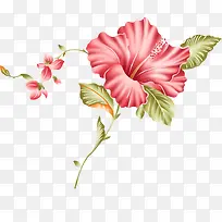 手绘花朵