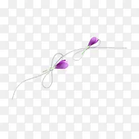 紫色小花苞