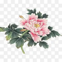 中秋节手绘绿叶粉花包装