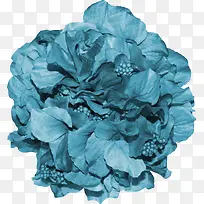蓝色牡丹花朵布艺