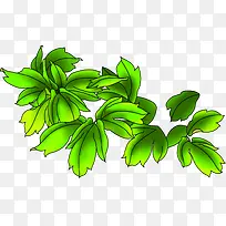 中秋节手绘绿色渐变绿叶