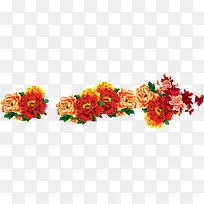 彩色牡丹花朵风光