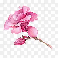 粉色的花