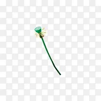 莲蓬，莲子，花苞