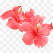 手绘红色盛开牡丹花卉