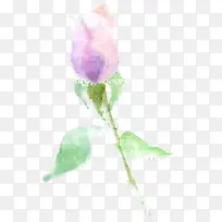 粉紫色手绘水彩花苞