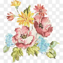 彩绘牡丹花粉红花朵图片