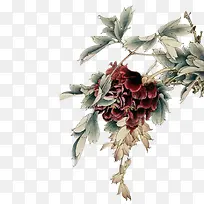 牡丹花红色花朵彩绘装饰