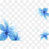 蓝色装饰花朵