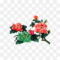 红色绿色牡丹花绿叶