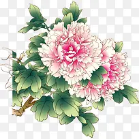 粉色水墨牡丹图
