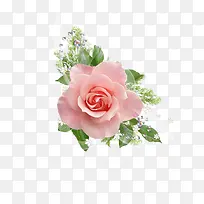 漂亮花朵装饰图