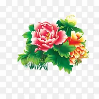 手绘牡丹