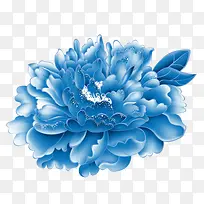 蓝色牡丹花朵