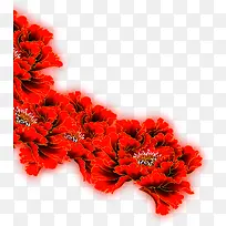 红色花朵装饰牡丹