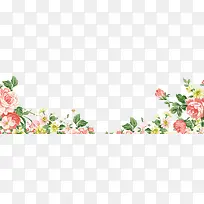 鲜艳牡丹花卉边框手绘