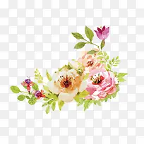 矢量手绘花朵装饰