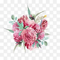 手绘花卉
