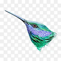 创意彩色鸟插画设计