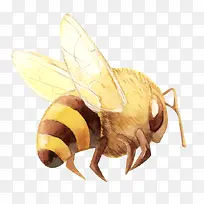 手绘蜜蜂