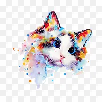 水彩猫咪