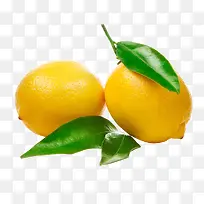 新鲜黄色绿叶柠檬