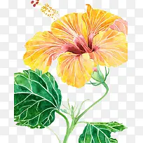 创意水彩花卉插画