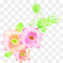 粉色多层水彩花朵