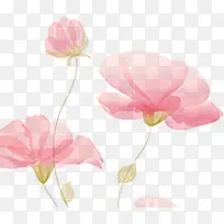 手绘粉色花卉新年贺卡