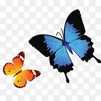 绚丽彩色手绘设计蝴蝶
