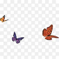 彩色手绘蝴蝶设计