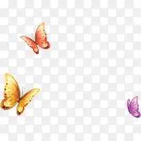 彩色水彩手绘蝴蝶