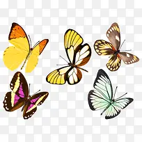 彩色蝴蝶废物手绘海报背景