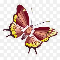 彩色卡通手绘蝴蝶