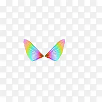 彩色蝴蝶翅膀