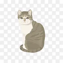 矢量手绘猫咪