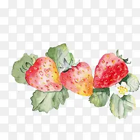 小清新简约水彩手绘红色草莓