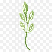 手绘小草