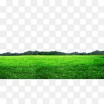 绿色草地