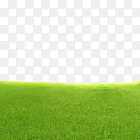 草地元素