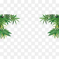 草地