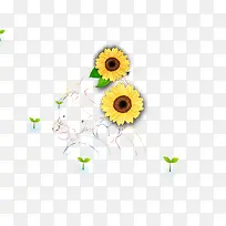 小黄花