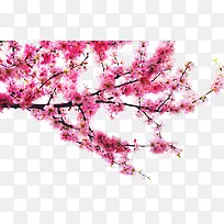 手绘桃花红色效果