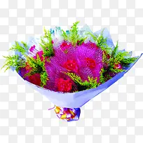 紫色康乃馨花束礼物