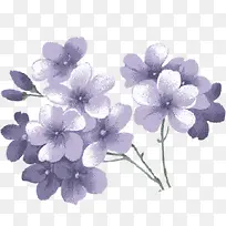 紫色水彩花朵花束