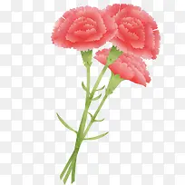 红色美丽康乃馨花束
