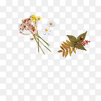 干花，秋天，树林，文艺