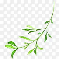 绿色手绘文艺小草树枝