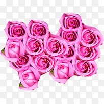 情人节粉色玫瑰花束